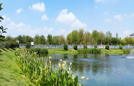 肥西縣官亭鎮(zhèn)尾水濕地項目丨“水下森林”初長成，尾水濕地?zé)ㄉ鷻C