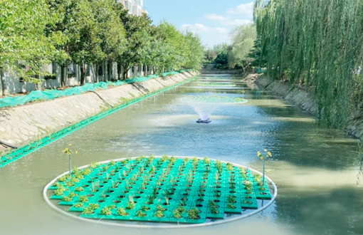 扮靚美麗家園丨新浦工業(yè)園區(qū)水質(zhì)全面提升，樹立“新浦樣板河”