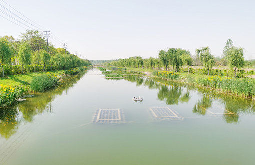 久吾天虹再次被媒體聚焦！南京浦口區(qū)水環(huán)境綜合治理顯成效