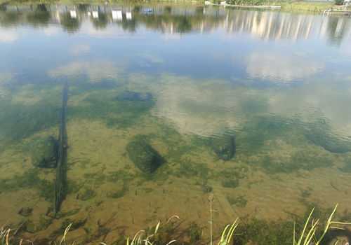 土壤及地下水修復