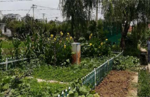 宜興市芳橋鎮(zhèn)芳橋村東夏佃自然村農(nóng)村生活污水處理工程
